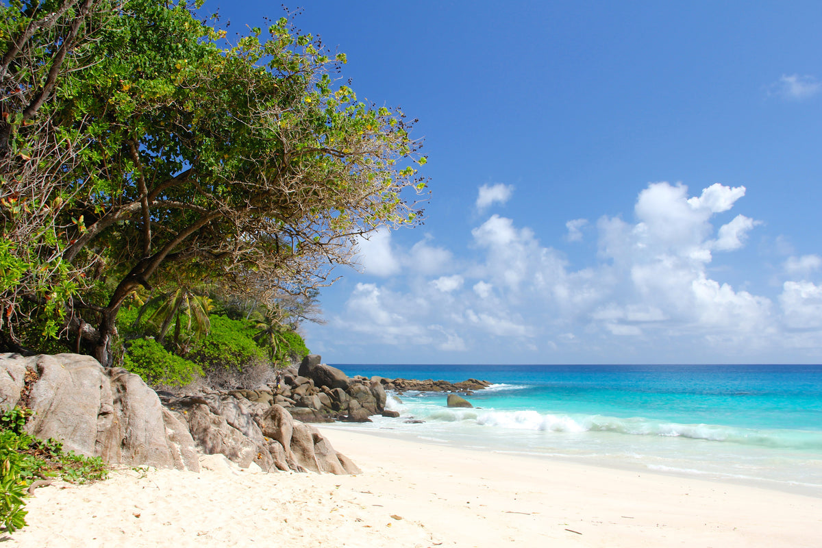 acrylic-print-dream-beach-seychelles