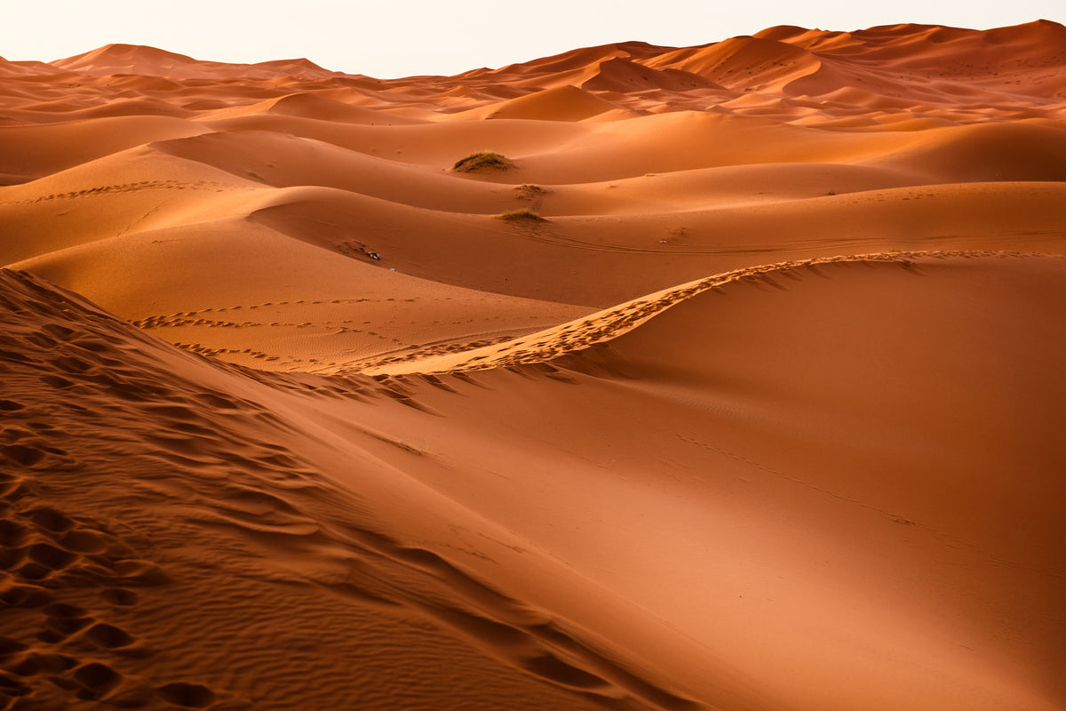 3-piece-acrylic-print-traces-in-the-desert