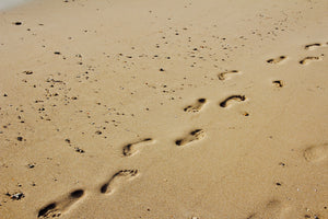 canvas-print-footprints-in-the-sand