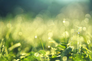 modern-3-piece-acrylic-print-in-the-meadow