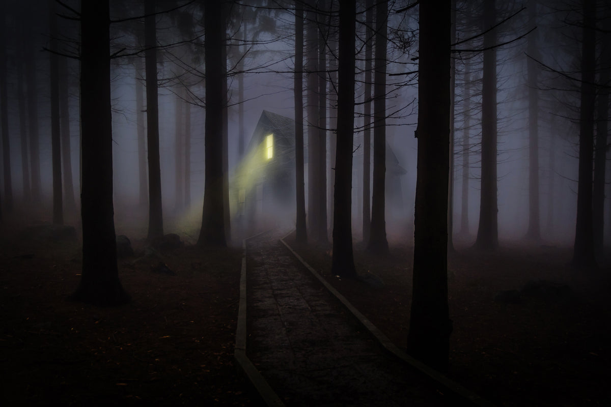 modern-3-piece-acrylic-print-fog-in-the-forest