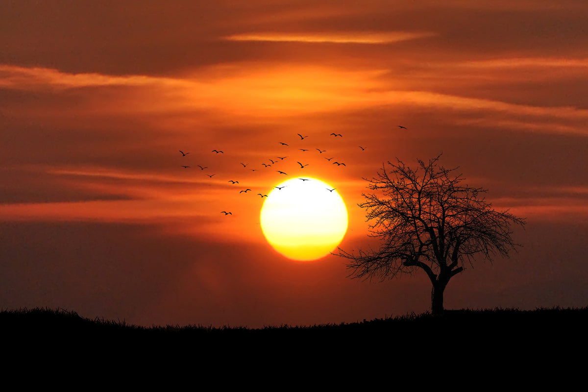 acrylic-print-the-sunset-on-the-horizon
