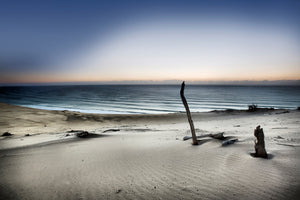 framedcanvas-print-reach-for-the-sun-x