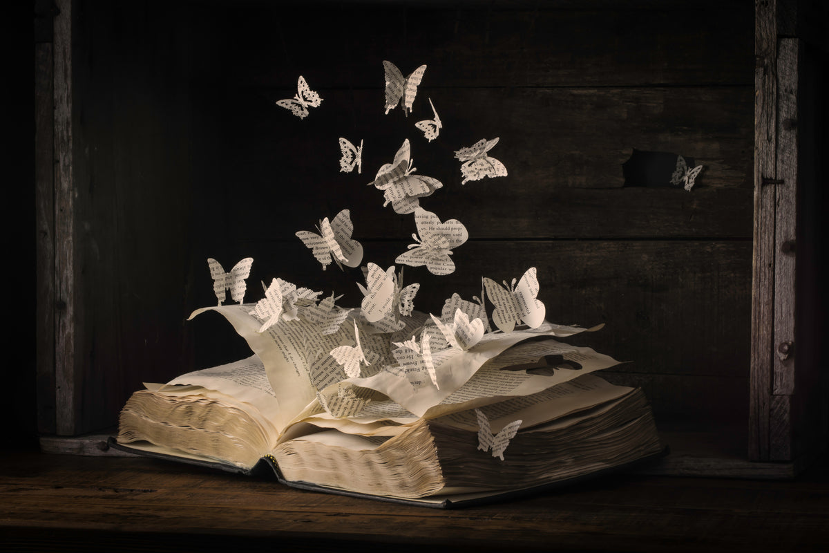modern-3-piece-canvas-print-lepidopterology