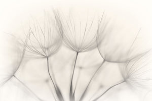 canvas-print-no-title