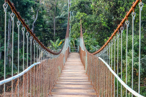 3-piece-acrylic-print-bridge-for-the-brave