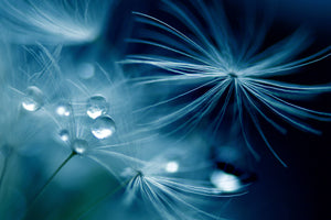 framedcanvas-print-soft-touch-x