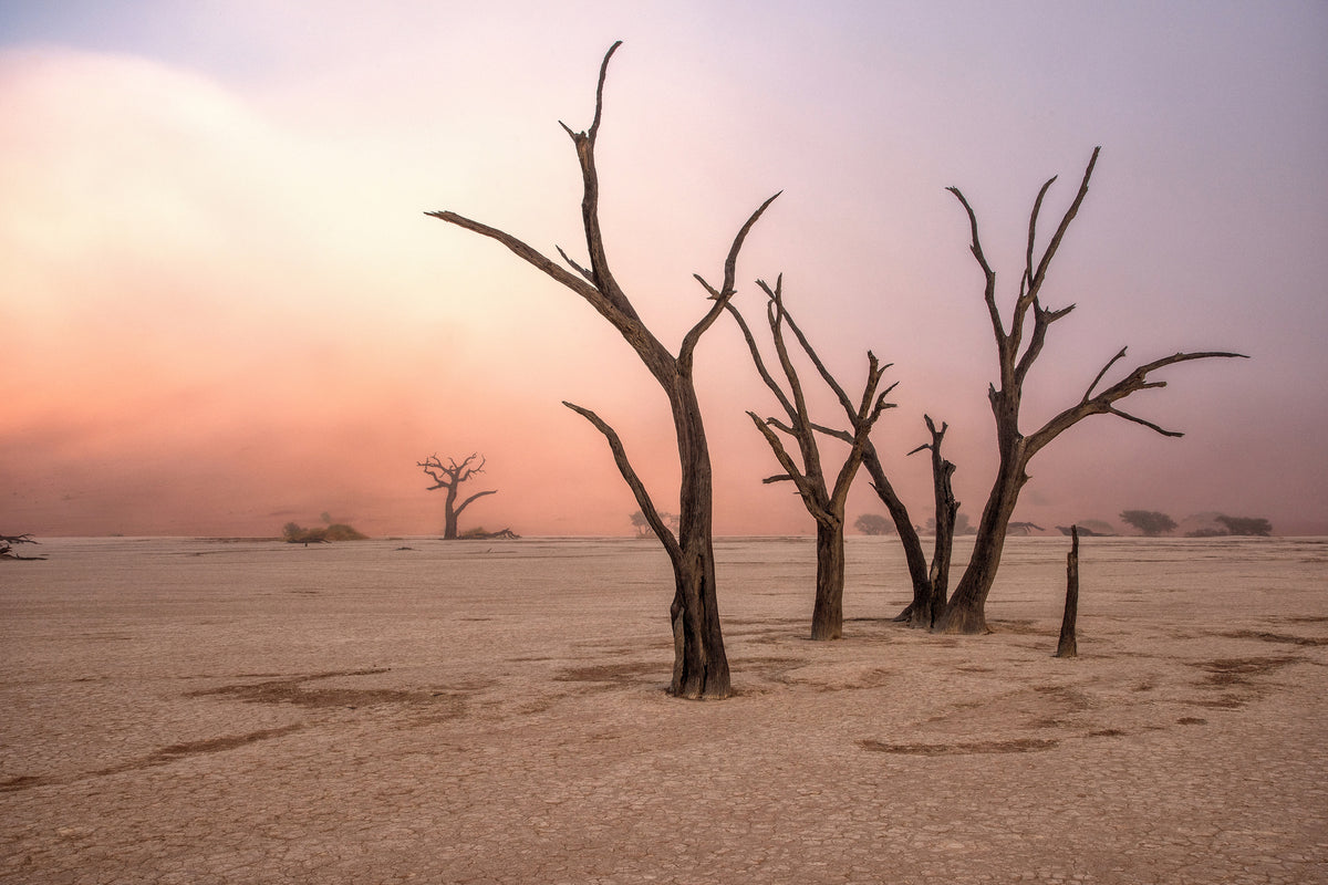 poster-print-fog-in-deadvlei