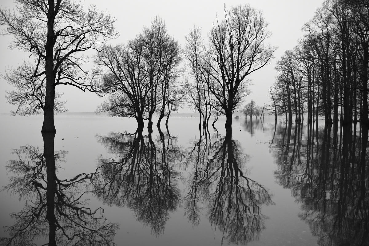 poster-print-flood-x