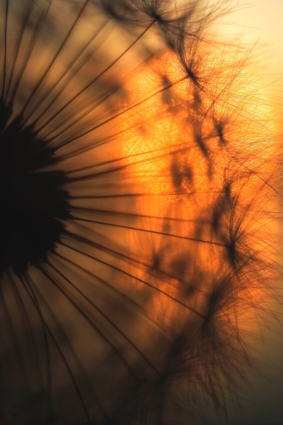 aluminium-print-sunset-x