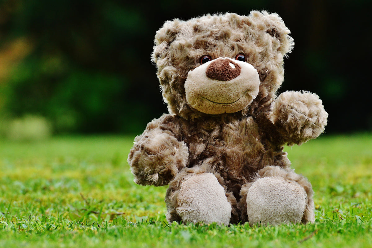 canvas-print-happy-teddy-bear
