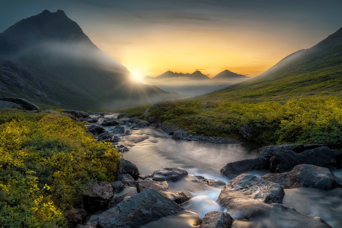 framedcanvas-print-dreaming-x