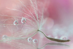 acrylic-print-two-of-us-x