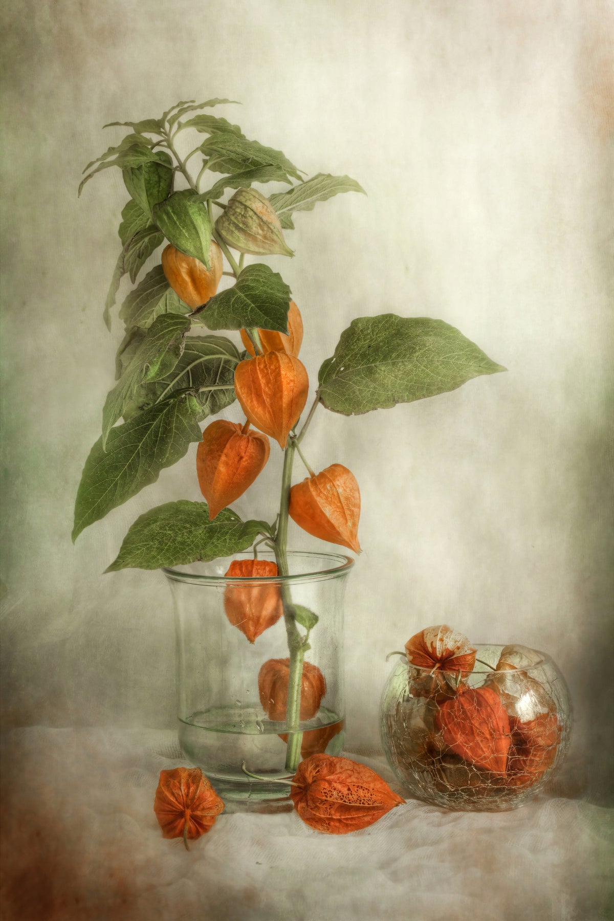 aluminium-print-lanterns-x
