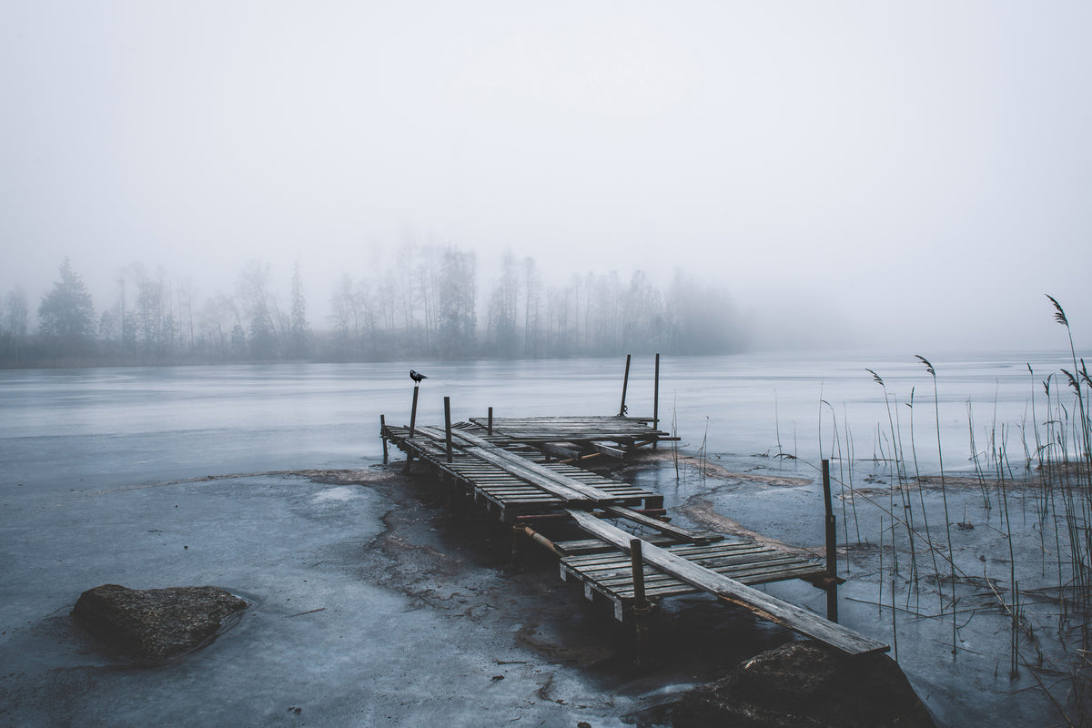 canvas-print-left-for-winter
