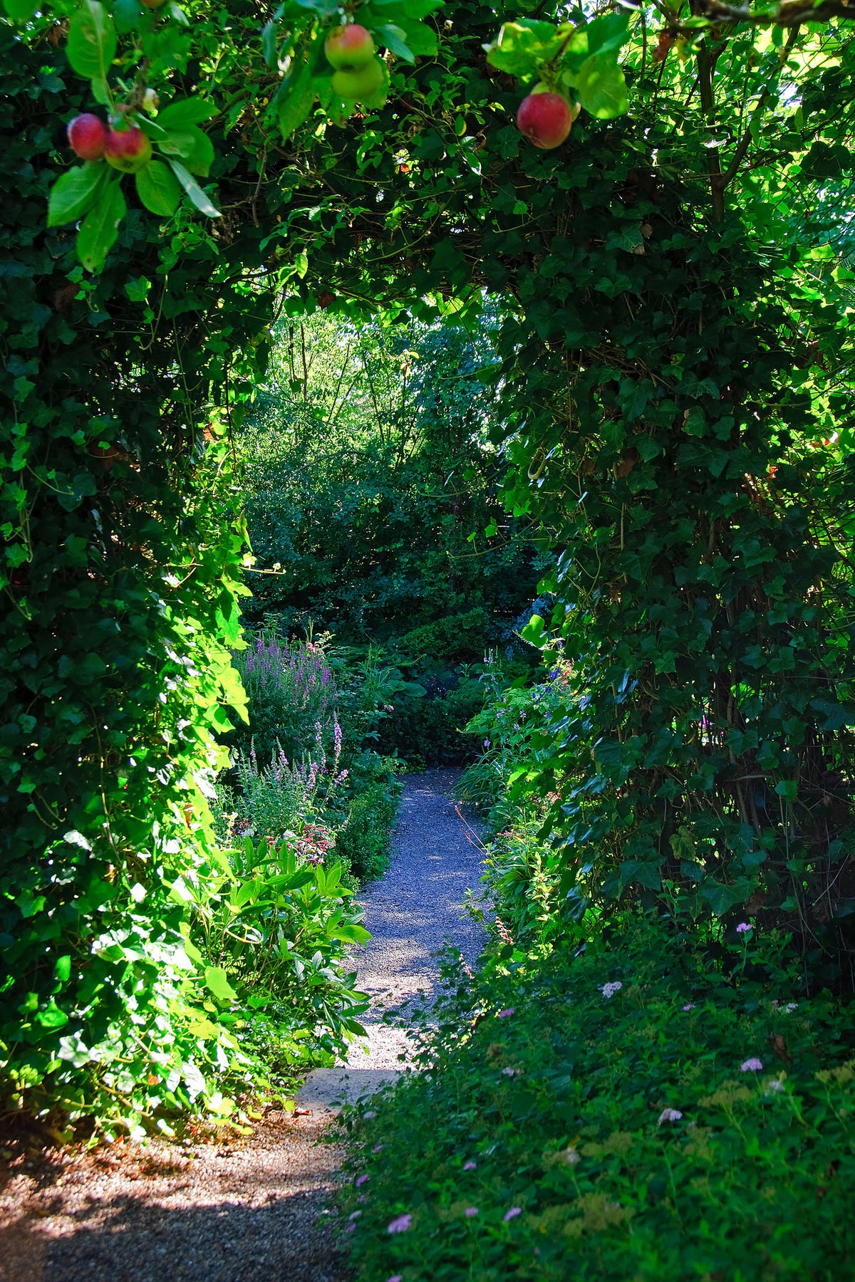 aluminium-print-in-paradise-garden