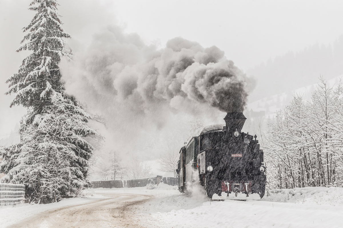canvas-print-winter-story-x