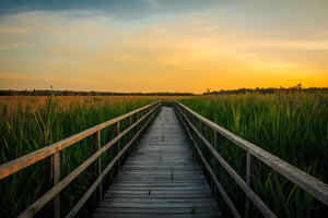 framedcanvas-print-sunset-in-the-fields