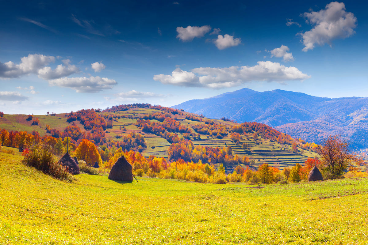 modern-3-piece-aluminium-print-autumnal-mountain-landscape