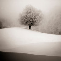 4-piece-canvas-print-winter-degradee