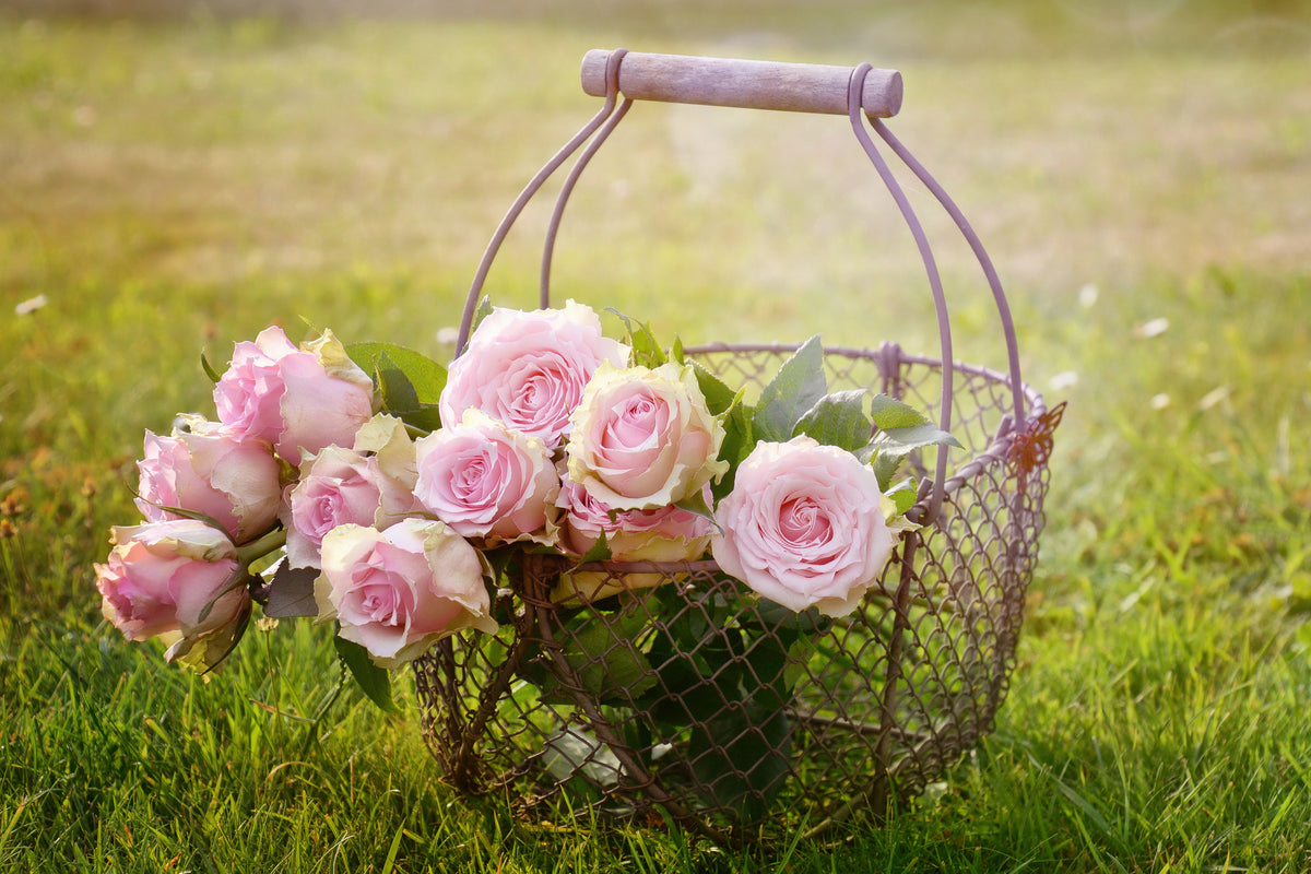 aluminium-print-a-basket-full-of-roses