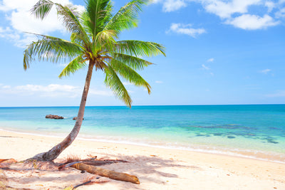 poster-print-the-own-island