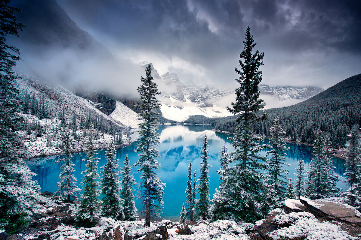 framedposter-print-morning-blues