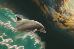 3-piece-aluminium-print-fascination-dolphin