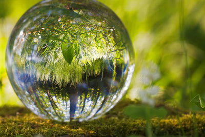 poster-print-nature-ball