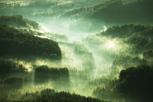 modern-3-piece-acrylic-print-over-the-woods