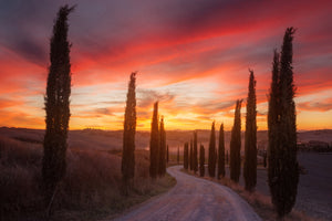 framedposter-print-tuscany-sunset