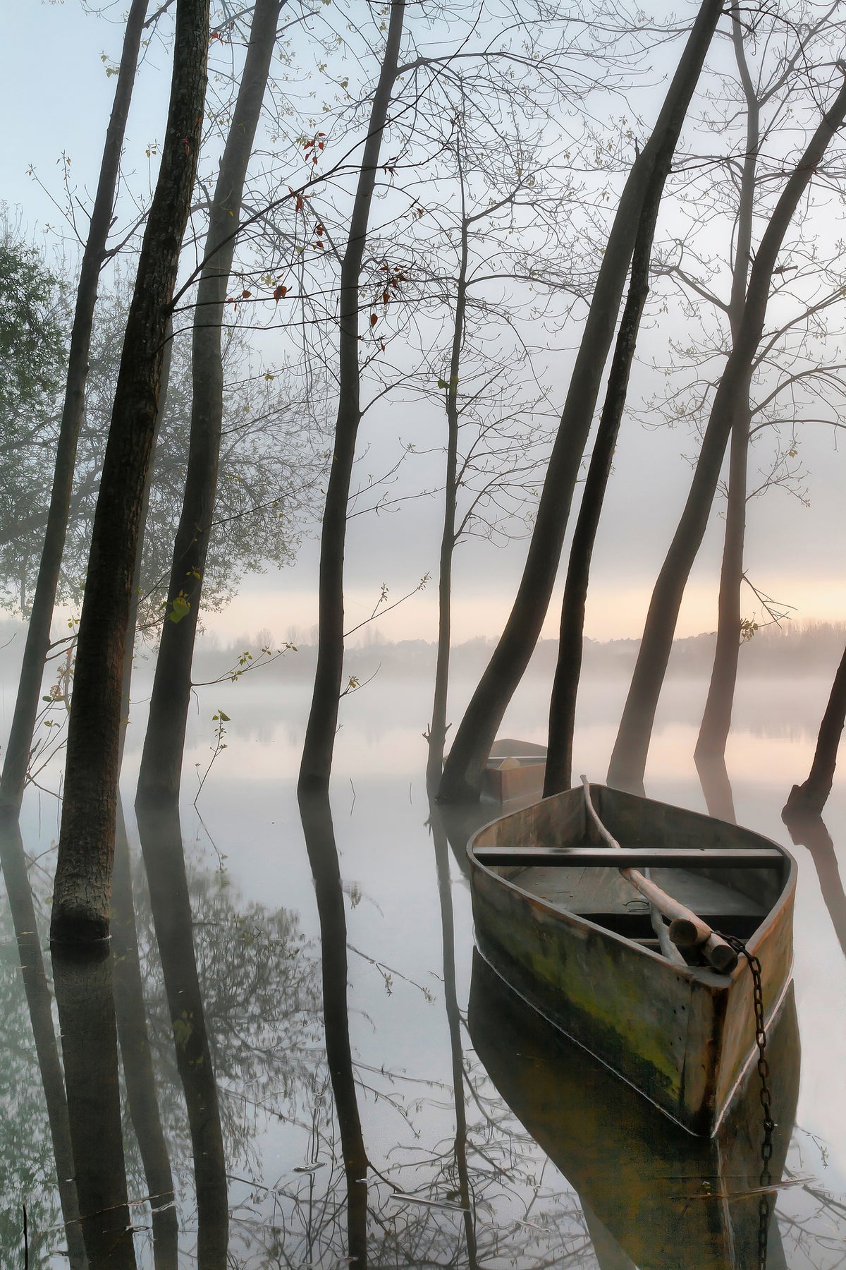 framedposter-print-serene-dawn-x
