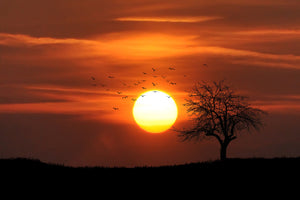 framedposter-print-the-sunset-on-the-horizon
