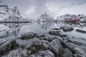 framedcanvas-print-reine-x