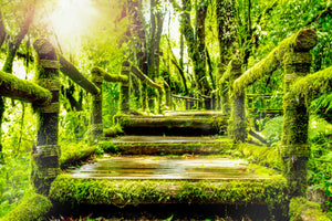 framedposter-print-moss