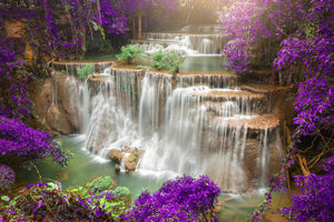 aluminium-print-photowallpaper-garden-eden