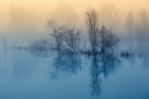 3-piece-aluminium-print-morning-reflection-ii
