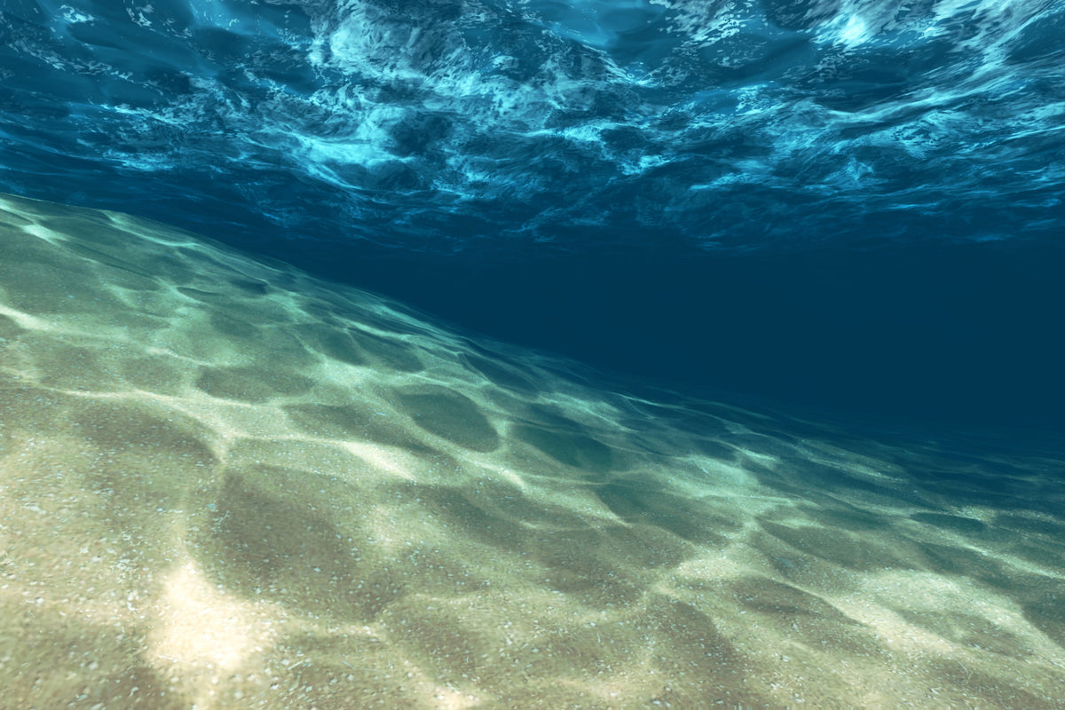 framedcanvas-print-under-the-water