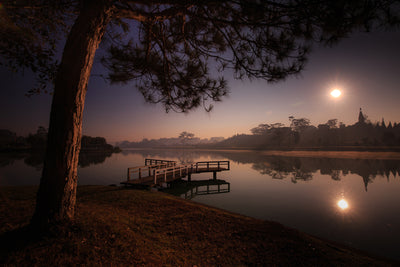poster-print-a-lake-at-the-forest