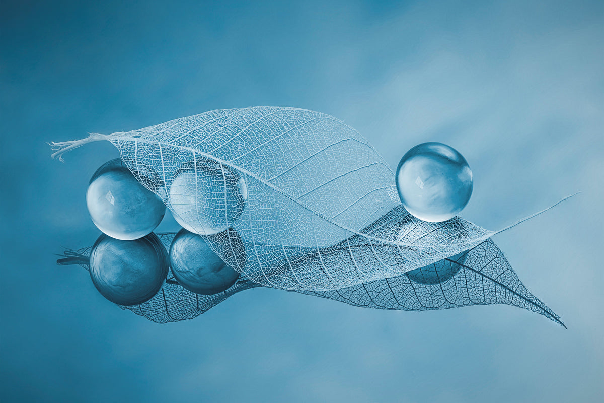 framedcanvas-print-dry-leaf-and-bubbles-x