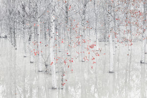 canvas-print-red-a-white-x