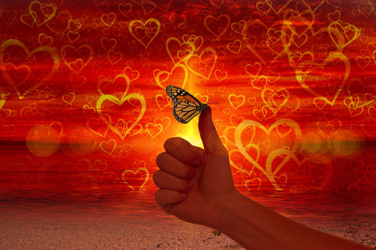 acrylic-print-the-butterfly-and-the-love