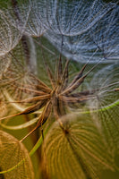 framedposter-print-inside-x