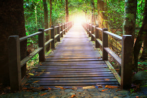 3-piece-acrylic-print-the-bridge-in-the-forest