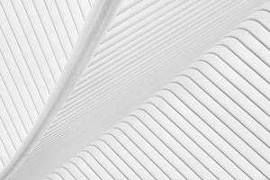 3-piece-acrylic-print-canopy