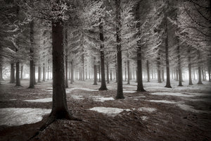 framedcanvas-print-the-onset-of-winter