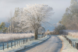 3-piece-aluminium-print-a-frosty-morning