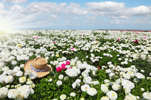 canvas-print-spring-flower-meadow