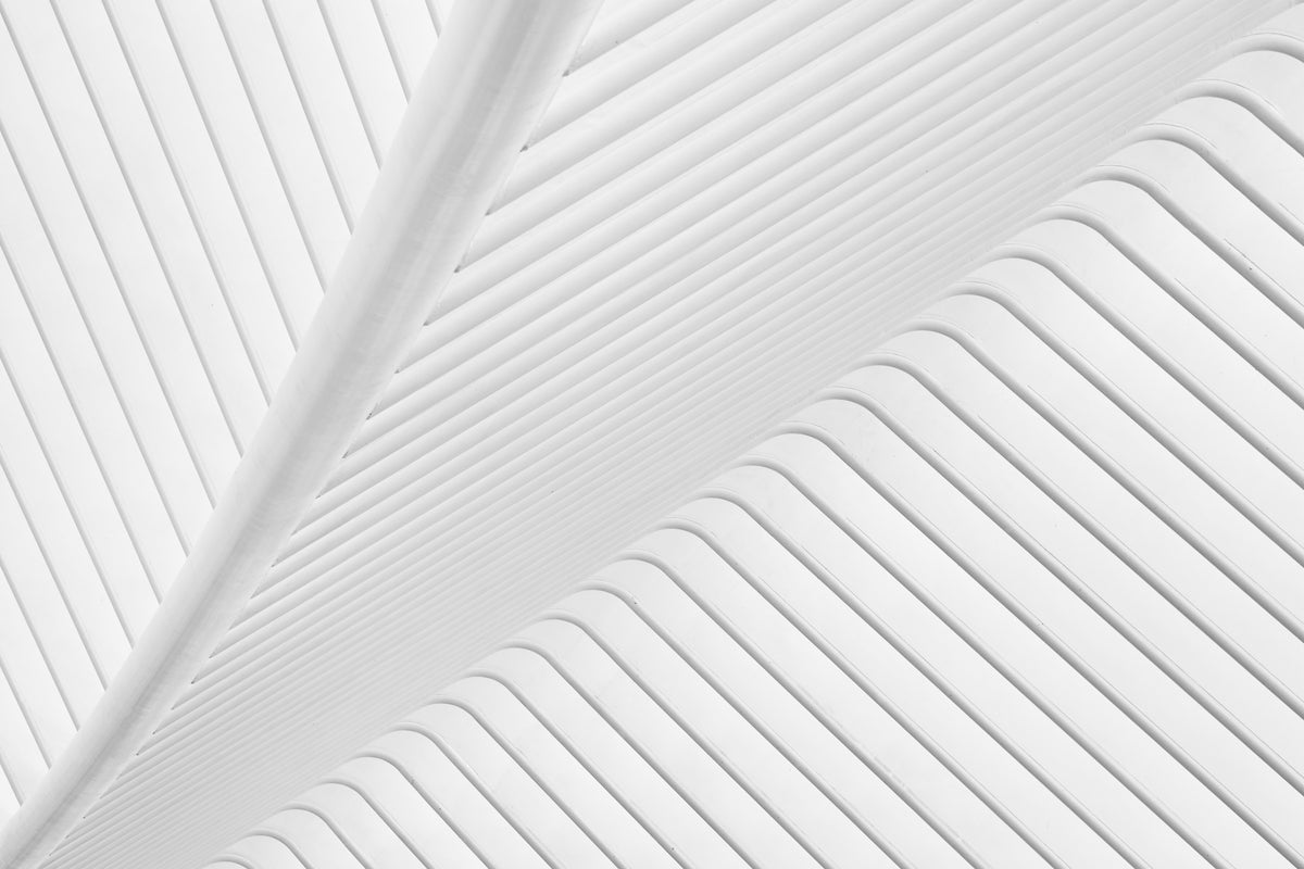 framedcanvas-print-canopy