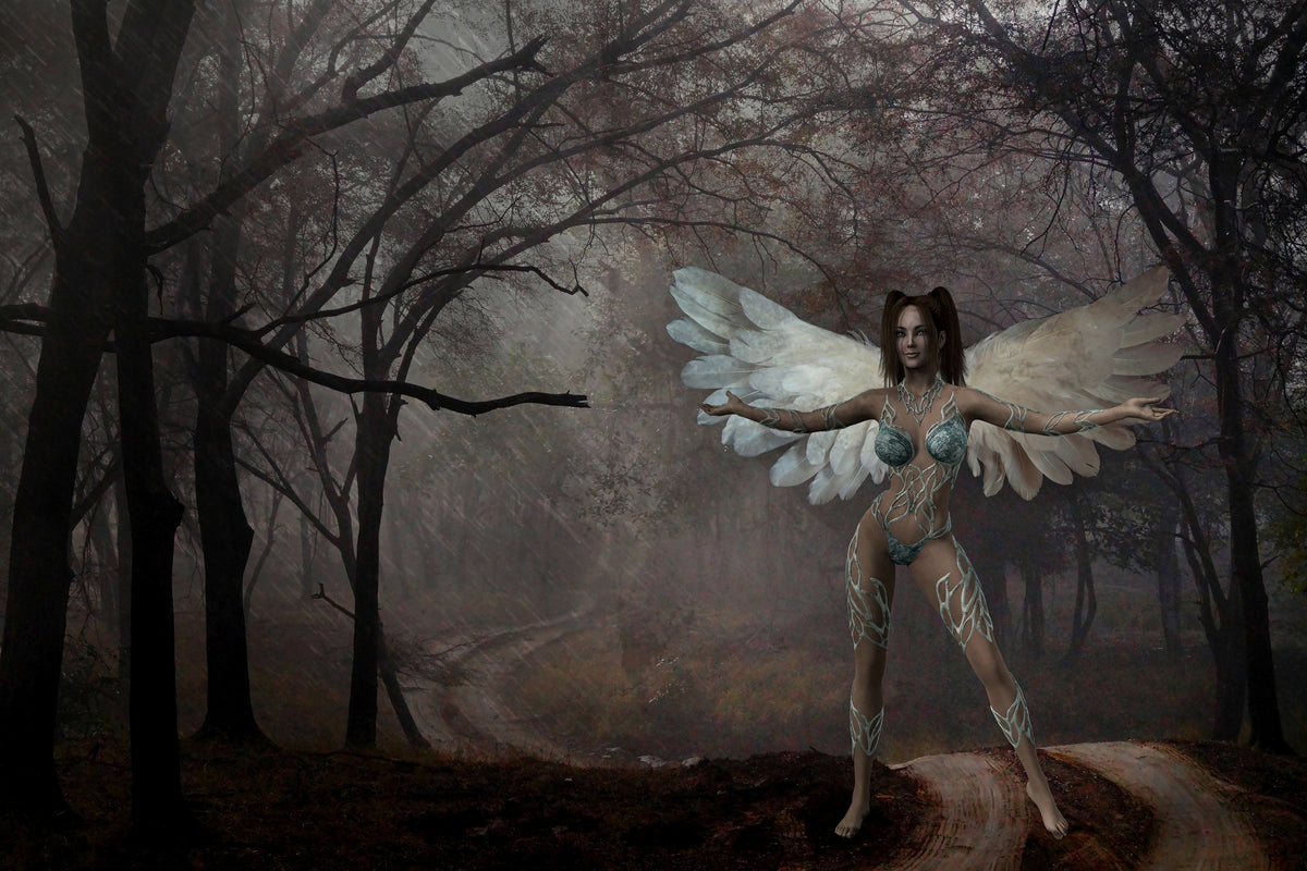 canvas-print-fantasy-in-the-forest